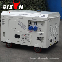 BISON(CHINA) BS12000SE 10kw 10kva Generator Supplier Electric Start Three Phase Diesel Silent 10 KW Generator 110V 220V 380V